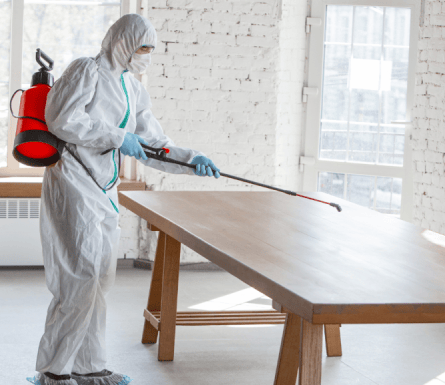 Choose the topmost pest control services in Belmont